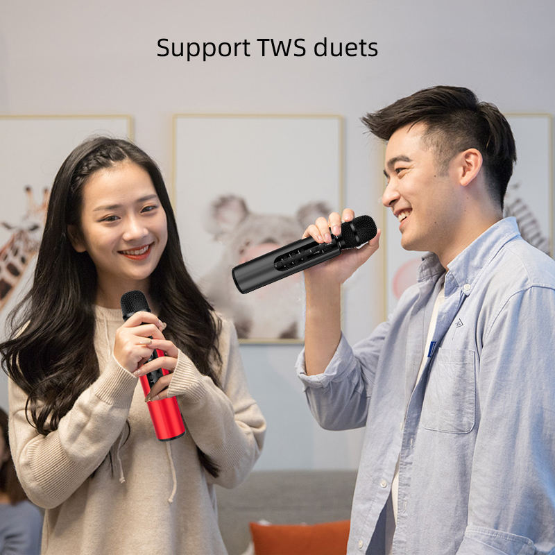 Voice Changing Mobile Microphone 10W Built in Speaker Professional Portable Outdoor Sing Karaoke Machine for Kids - Image 2