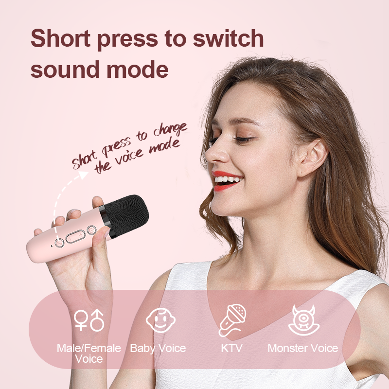 Small Wireless 5W Home Party Karaoke Players ABS Mini Speaker Microphone DC Power Communication KTV Car Usage Bass Box - Image 5